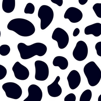 (NEW) White Dalmatian